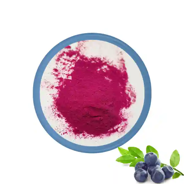 Bulk Wild Blueberry Powder